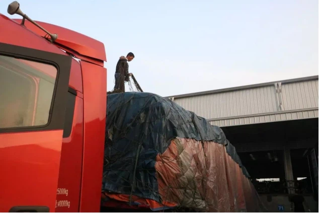 1661245599763 1661245599763